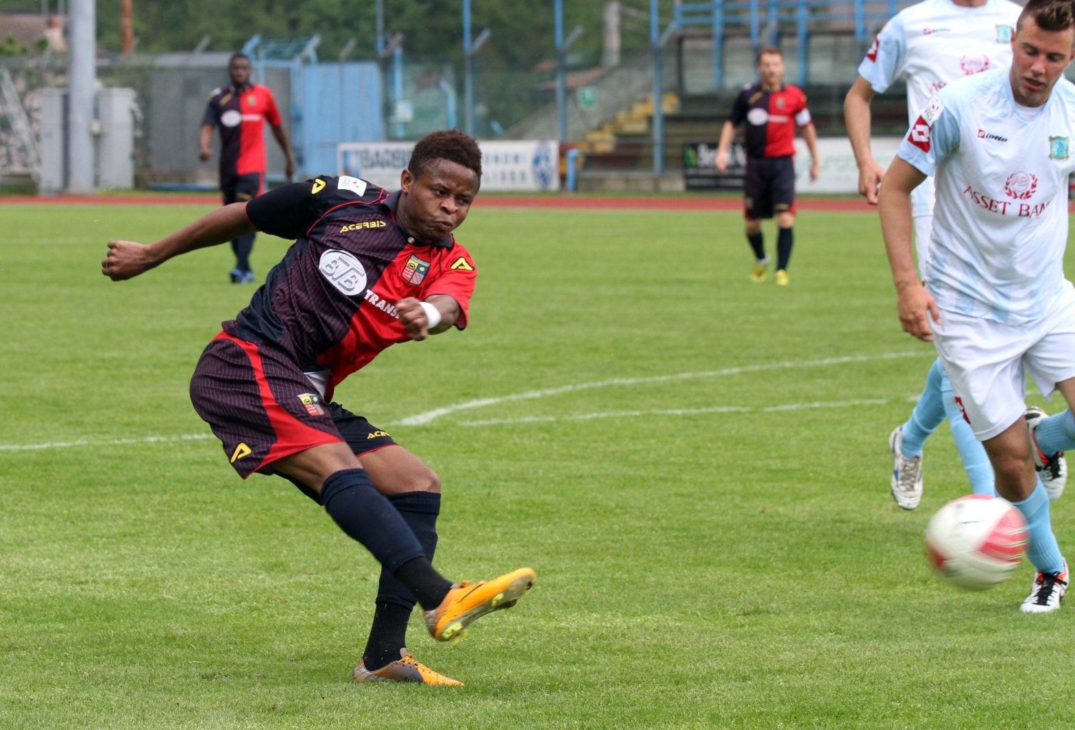 baraye_chievo