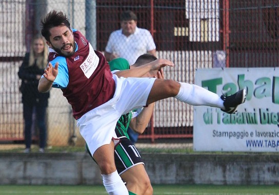 bardelloni