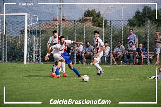 bassabs_borsino