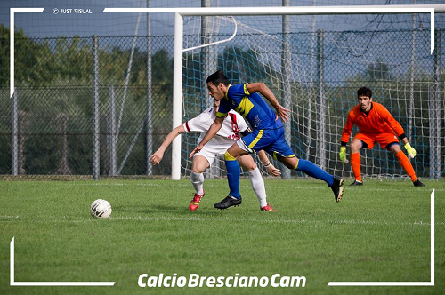 belleri_top