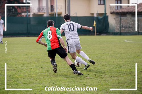 bonardi_adrense