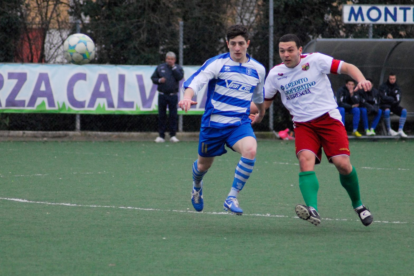 calvina_-_navecortine