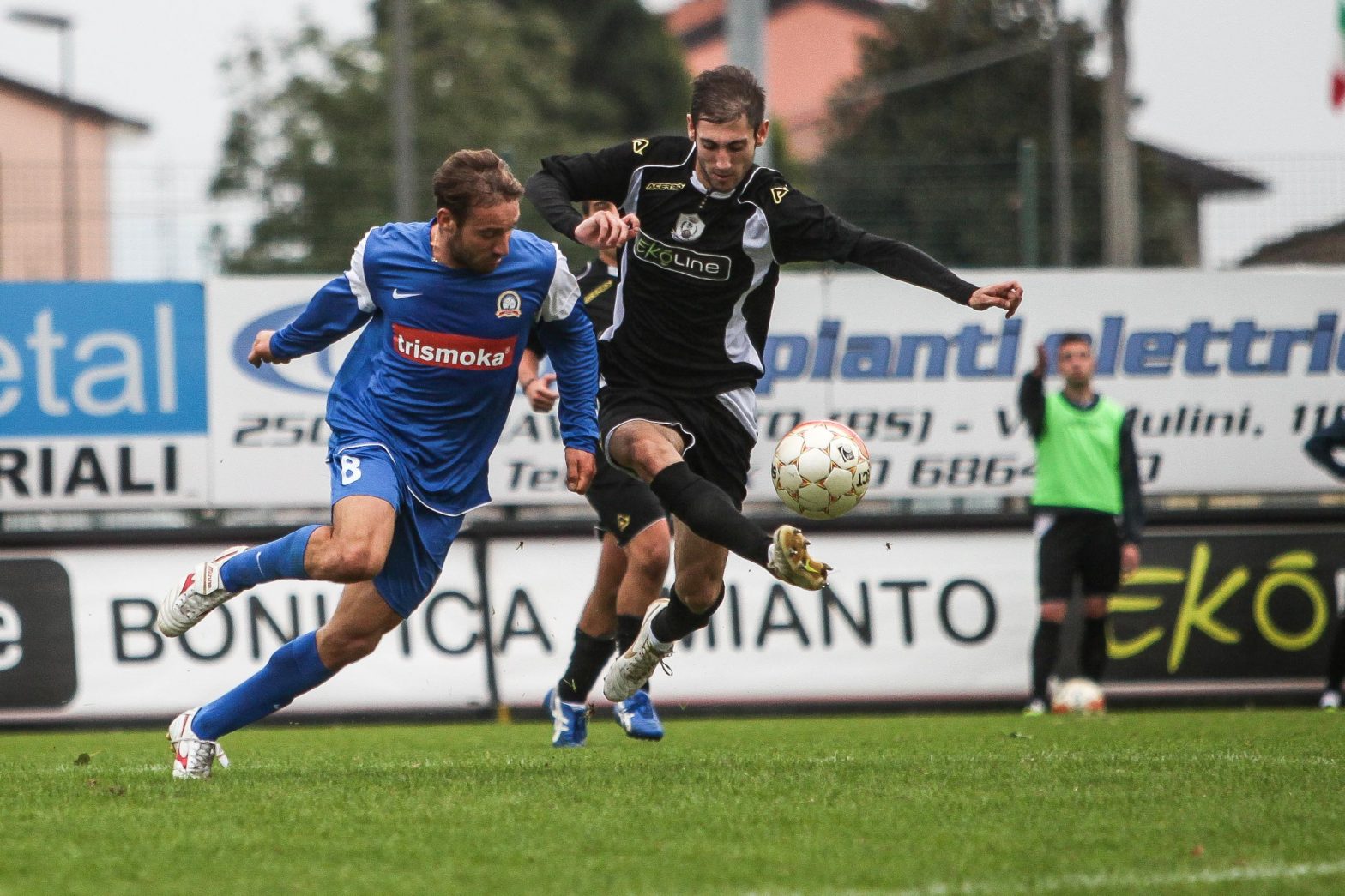 castegnato_orsa