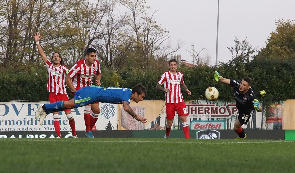 ceccarelli_mvp