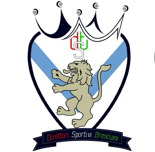 ds_logo
