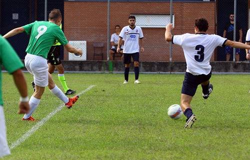 gatta_lodrino