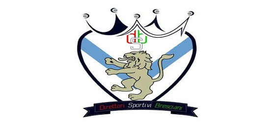 logo ok_ds