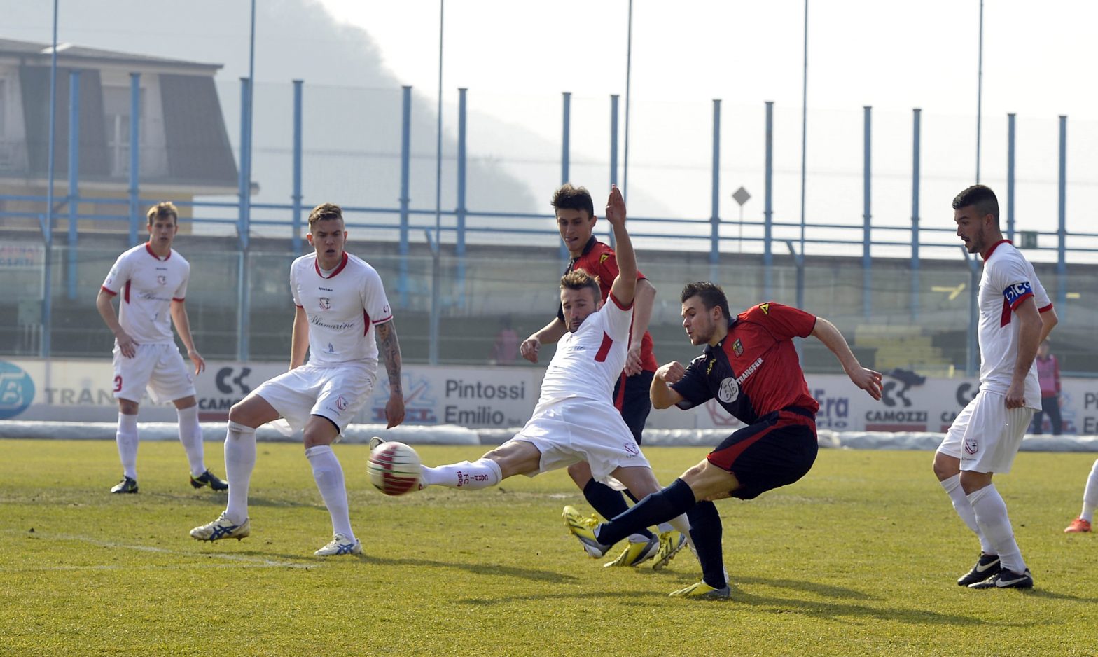 lume-carpi