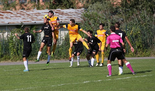 nicola cittadini