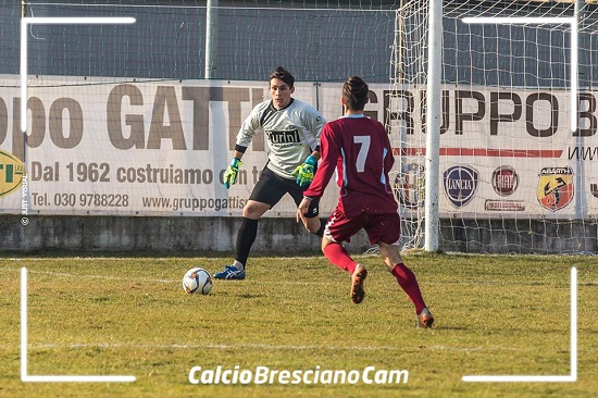 orceana_castellana