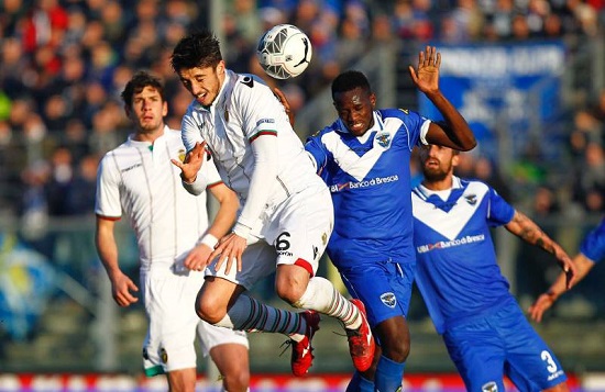 pagellozzo_ternana