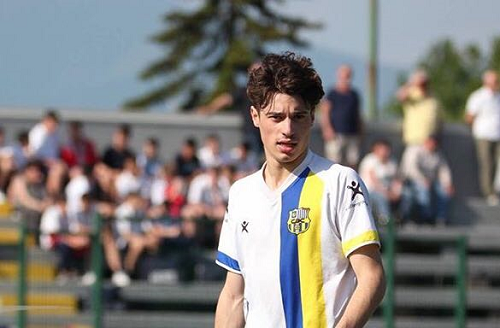 parma_identi