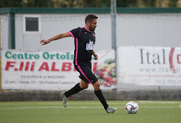 pinardi