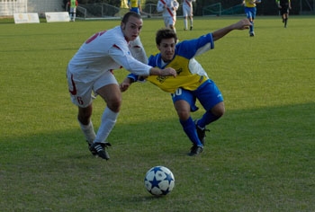 prevalle_lions_2