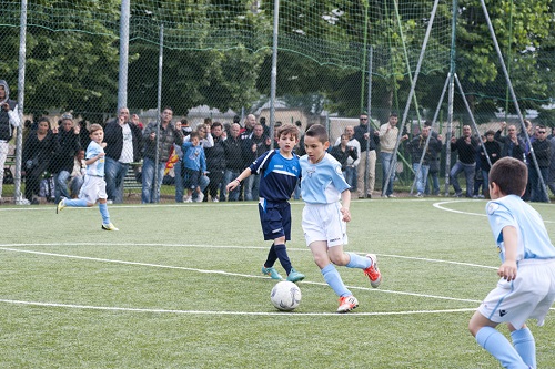pulcini_foto