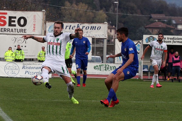 quaggiotto