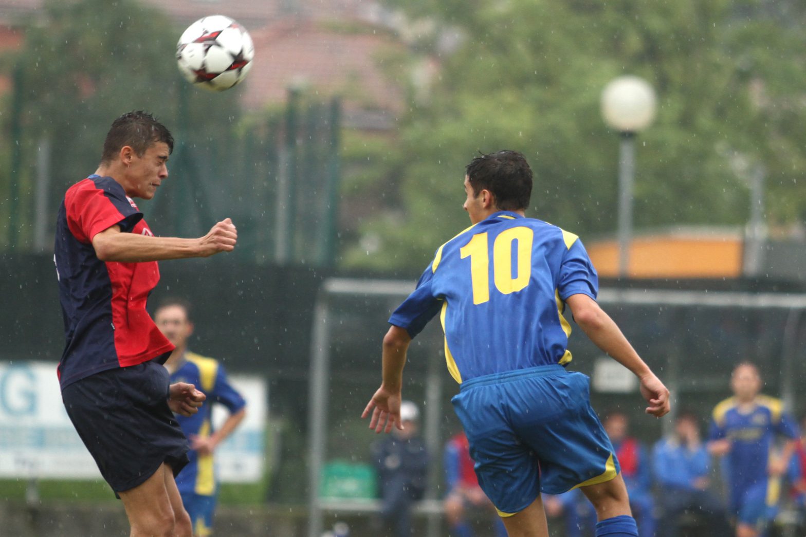 sanzenocellatica_12