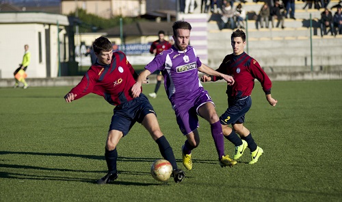 triglia