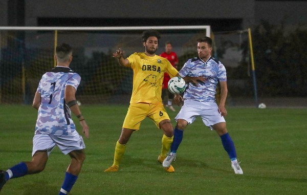 bsp-orsaparatico12